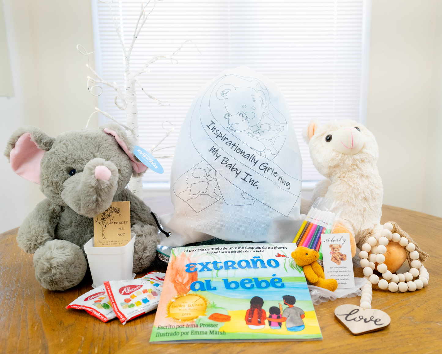 Beary Loved Comfort Kit - Color me Edition- (For Siblings of Loss)